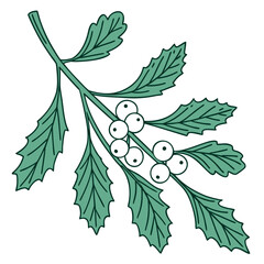 Mistletoe branch with white berries flat vector