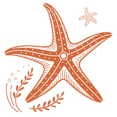 Orange starfish and seaweed flat graphic sea star marine life