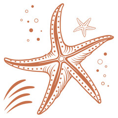 Orange starfish with bubbles and waves flat ocean