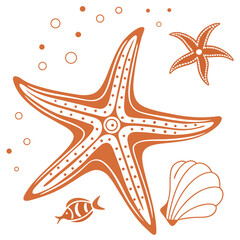 Orange starfish fish and shell graphics sea star seashell