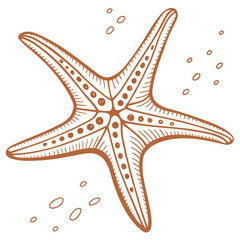 Orange starfish with bubbles on white background flat