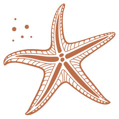 Orange starfish with decorative pattern and dots brown