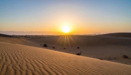 Golden sunlight streams over textured desert dunes, casting long shadows as the sun sets on the horizon, filling the scene with warmth and tranquil beauty, highlighting patterns in the sand and a...