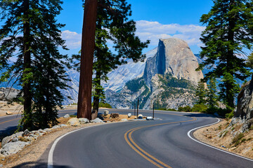 Winding Road Through Pine Trees and Scenic View of Half Dome Yosemite