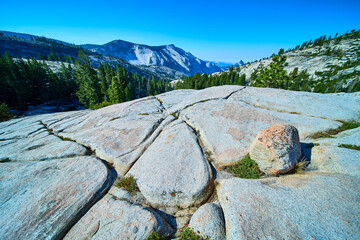 Olmsted Point Granite Half Dome and Pine Forest in Yosemite National Park