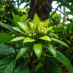 Close-up of a vibrant green tropical flower cluster surrounded by lush foliage