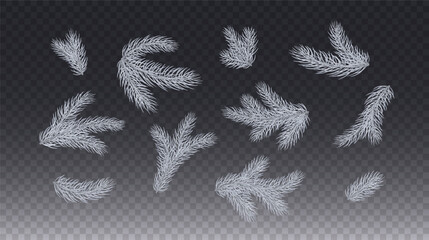Fir branches isolated on transparent background. Frost pine, xmas plant elements. Vector Christmas tree decoration set