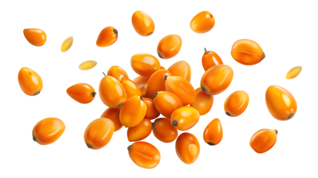 A pile of fresh sea buckthorn berries isolated on transparent background, showcasing their vibrant orange color and oval shape, perfect for health, wellness, and natural product imagery