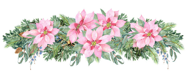 Pink  poinsettia bouquet, winter flowers. Happy new year christmas card. Isolated element on a white background. Hand drawn in watercolor. Stock illustration.