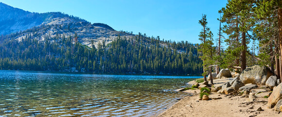 Panoramic Tenaya Lake Shoreline Pines and Granite Mountain in Yosemite National Park