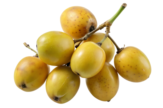 A small bunch of ripe yellow olives on a thin branch, isolated on transparent background