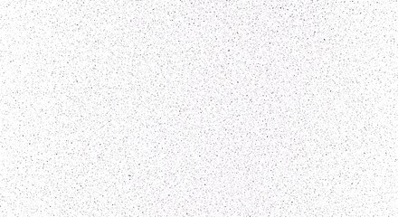 A white background with a dense scattering of small black dots, creating a textured, speckled, or noisy abstract pattern