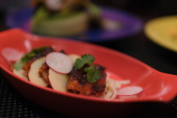 composed dish featuring sliced meat atop thinly sliced apples and radishes on a red plate, garnished with fresh cilantro leaves, combining sweet and savory flavors in elegant plating.