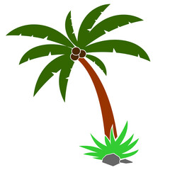 vector illustration of a palm tree with coconuts