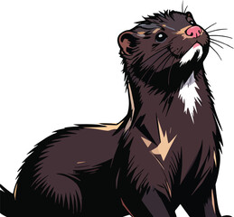closeup-shot-american-ferret-blurred-background illustration
