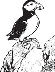 closeup-shot-atlantic-puffin-standing-rock-with-blurred-background vector line art