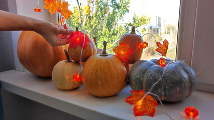 A pumpkin arrangement on a windowsill serves as a decoration for autumn holidays. Halloween and Thanksgiving