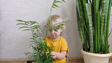 A little girl helps water and replant indoor plants, fun, smiles and laughter in the process