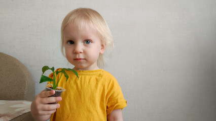 A little girl helps water and replant indoor plants, fun, smiles and laughter in the process