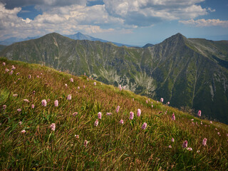 Tatry Zachodnie, Západné Tatry - na grani Otargańców