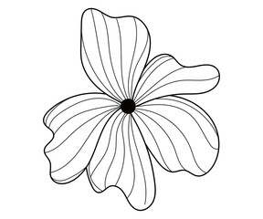 Minimalist dark flower outline on black background