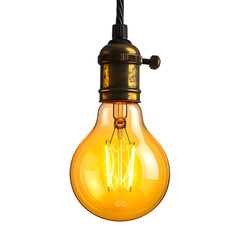 A detailed image of an illuminated edison-style lightbulb hanging from a wire against black