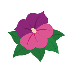 petunia flower clean vector illustration