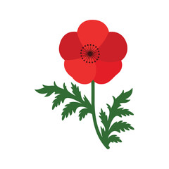 poppy flower flat vector illustration