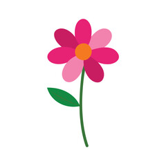 simple cosmos flower vector illustration