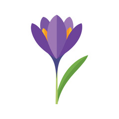 simple crocus flower vector illustration