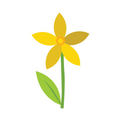 simple daffodil flower vector illustration