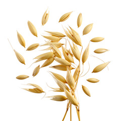Close-up of oat grains and stalks with loose seeds against a black background