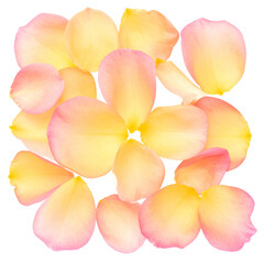 Top-down view of scattered, overlapping petals, yellow and pink, isolated on black