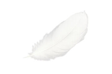 White feather floating softly with transparent background