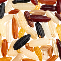 Close-up macro shot of uncooked mixed rice grains, showing varied colors and textures