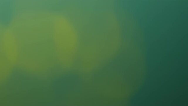 Abstract color background soft focus