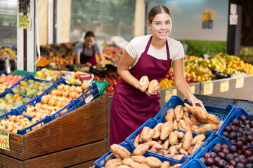 Young woman seller of fruit and vegetable store works near showcase with garden-stuff, sorting yam, checking goods.
