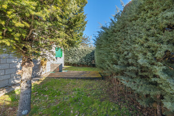 Terrace design with ornamental grass, a flat stone path, and a seating area with sun loungers and an umbrella