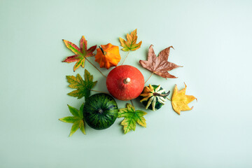 Autumn thanksgiving flat lay with colorful pumpkins and leaves on light green background. Top view