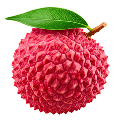 Close-up of a single, textured red fruit with green leaf and brown stem against black