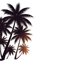 Obraz premium Silhouette of tropical palm trees isolated on white background