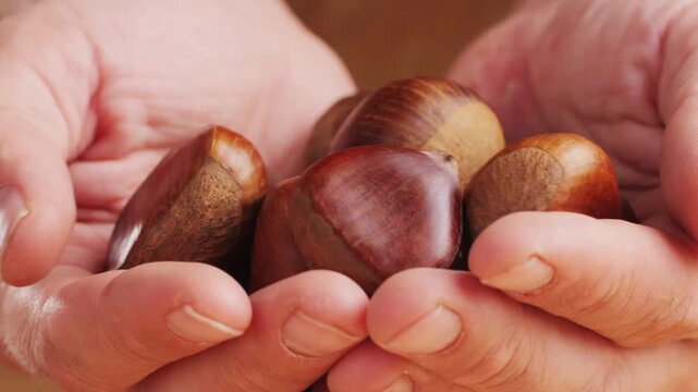 Fresh chestnut, supermarket food, Oven roasted chestnuts with sliced peel on wooden board, spanish traditional winter dish.