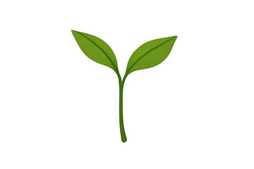 Green plant sprout growing concept on transparent background