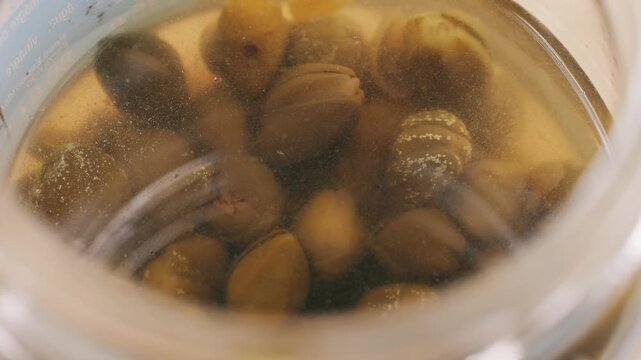 Pickled capers spanish food. Marinated buds of caper bush. Mediterranean cuisine ingredient. Organic spices and seasonings for meat, fish and vegetables, macro shot. Top view.