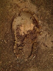 footprint in the sand