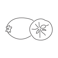Sapodilla vector illustration, simple design
