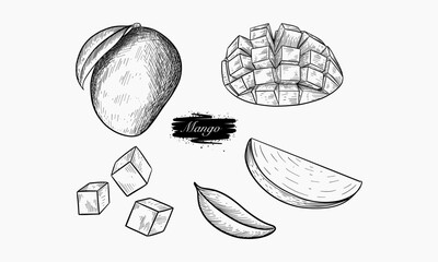 Hand Drawn Illustrations of Mangoes in Various Forms