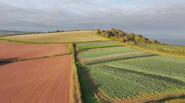 Colours of autumn Fields and Farms from a drone, Sheldon, Devon, England