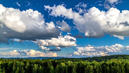 Vast sky with fluffy clouds over a forest