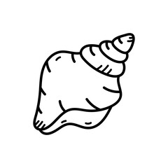 Ocean Line Doodle Illustration of a Single Spiral Seashell with a Textured Surface and a White Background